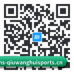 系统版 iOS 二维码